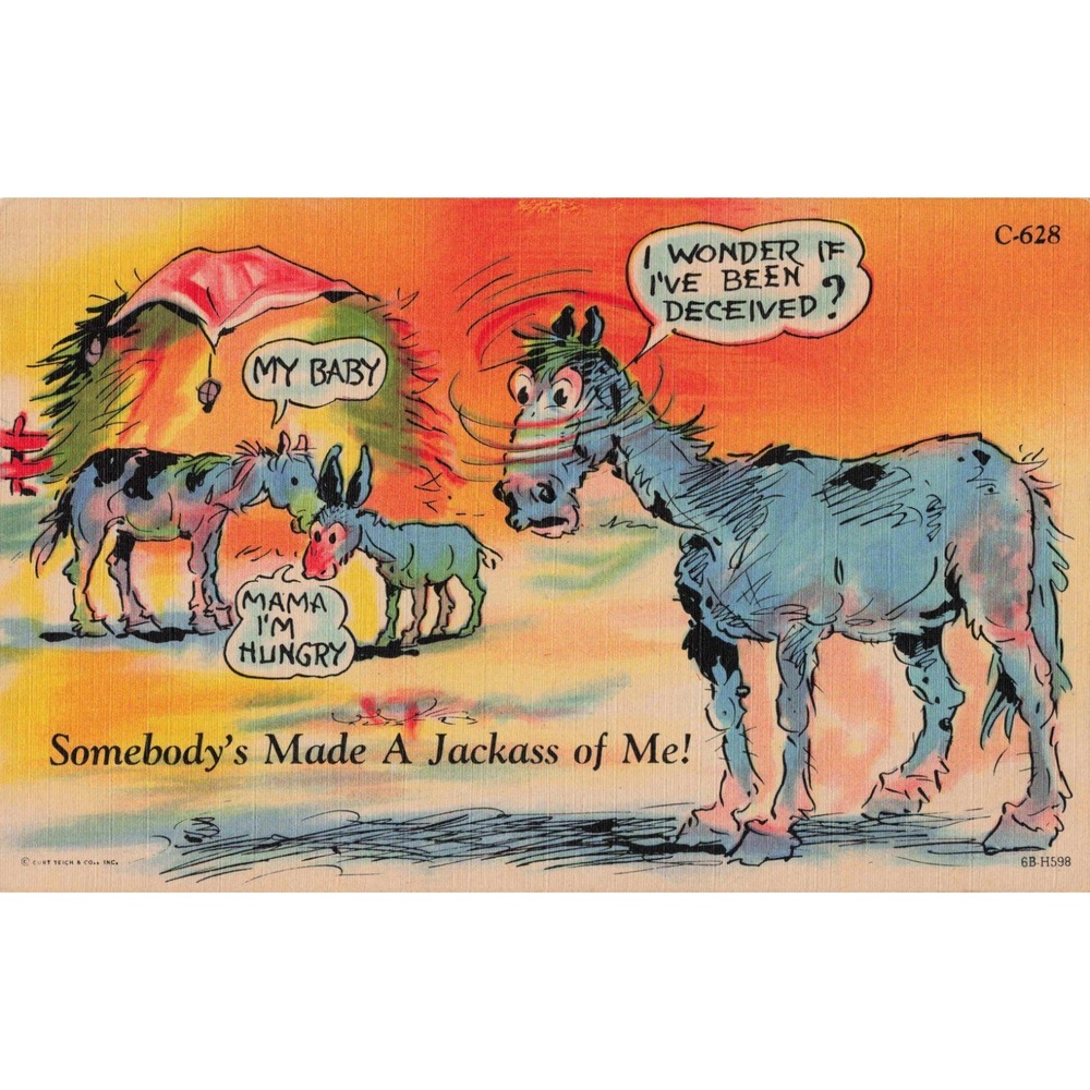 Vintage Curt Teich Linen Postcard Humorous Horse Donkey Rural Comics C-628 VG+ - Picture 1 of 2